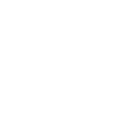icon cleanse