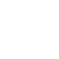 icon cleanse